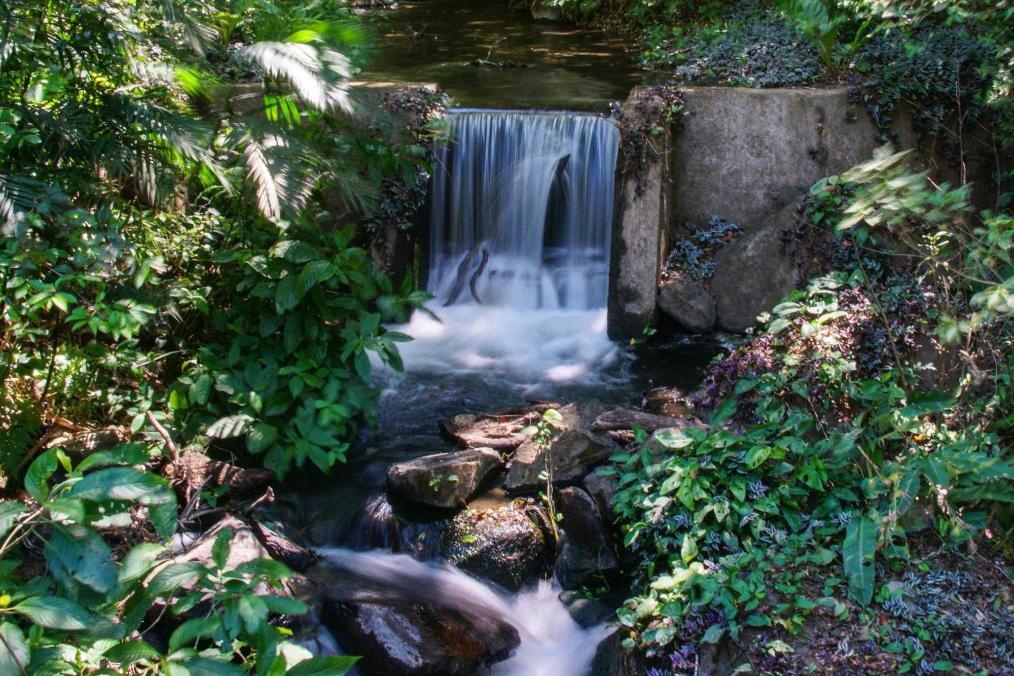 Buena Vista Del Rincon Eco Adventure Park Hotel & Spa Liberia Dış mekan fotoğraf