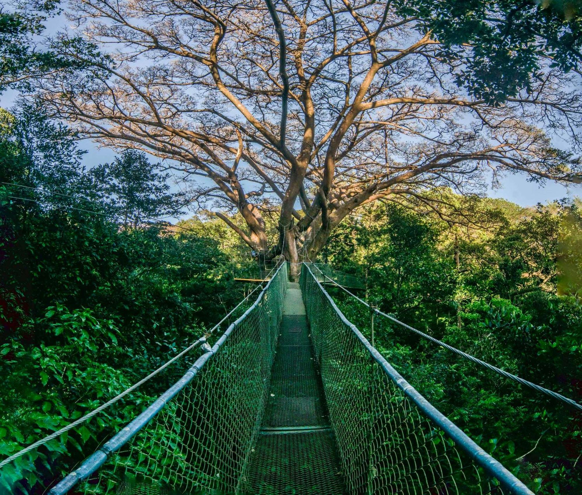 Buena Vista Del Rincon Eco Adventure Park Hotel & Spa Liberia Dış mekan fotoğraf