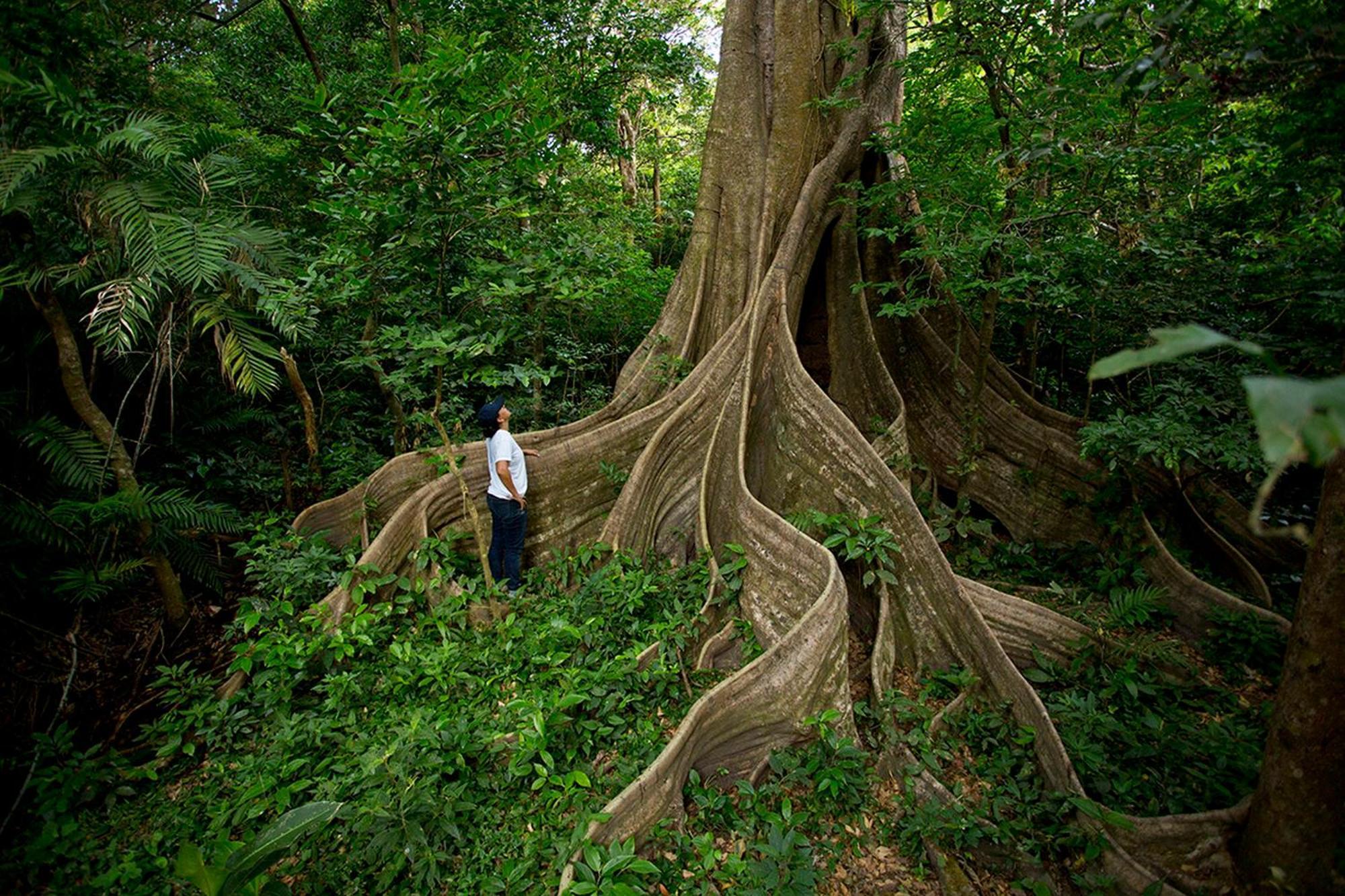 Buena Vista Del Rincon Eco Adventure Park Hotel & Spa Liberia Dış mekan fotoğraf