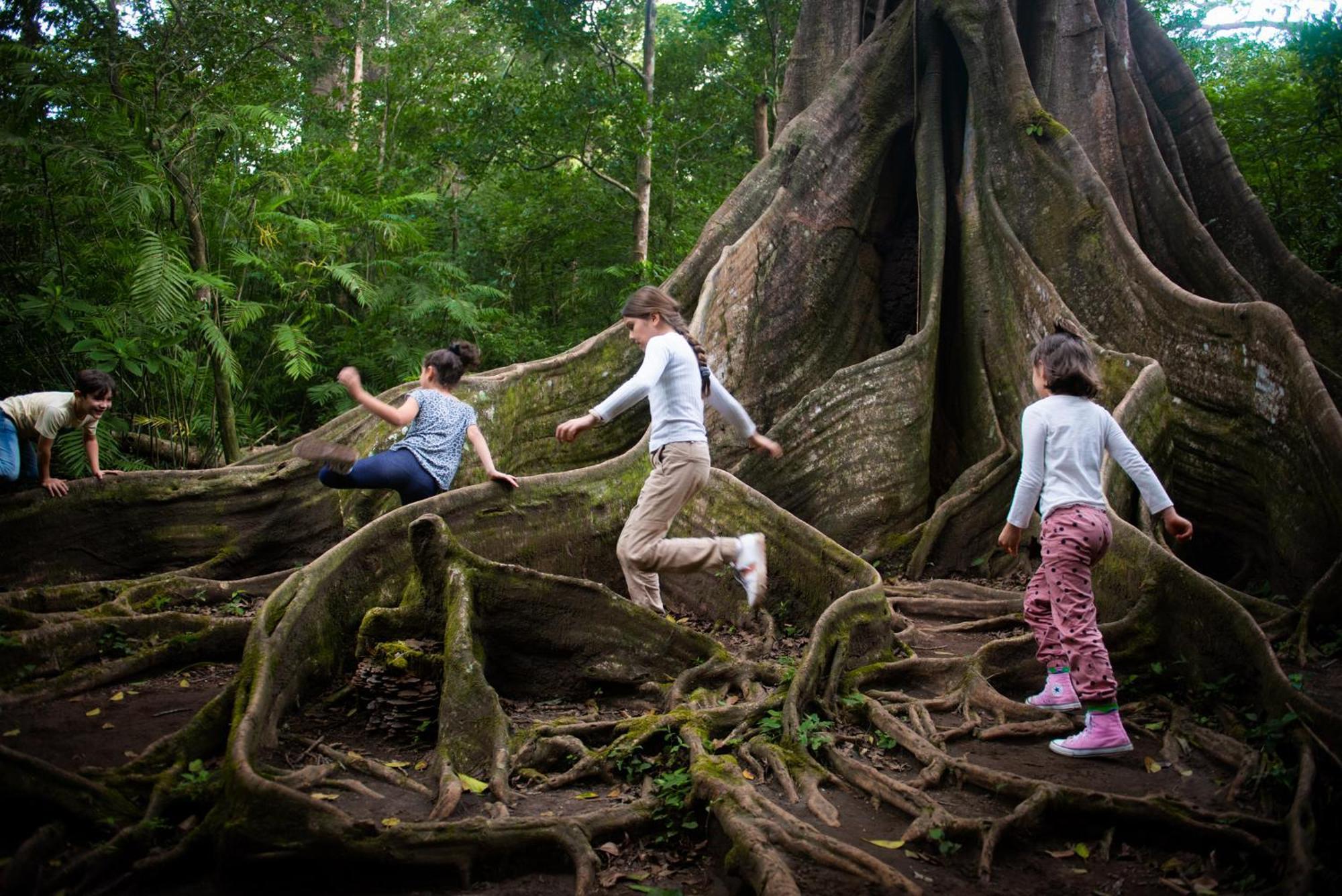 Buena Vista Del Rincon Eco Adventure Park Hotel & Spa Liberia Dış mekan fotoğraf